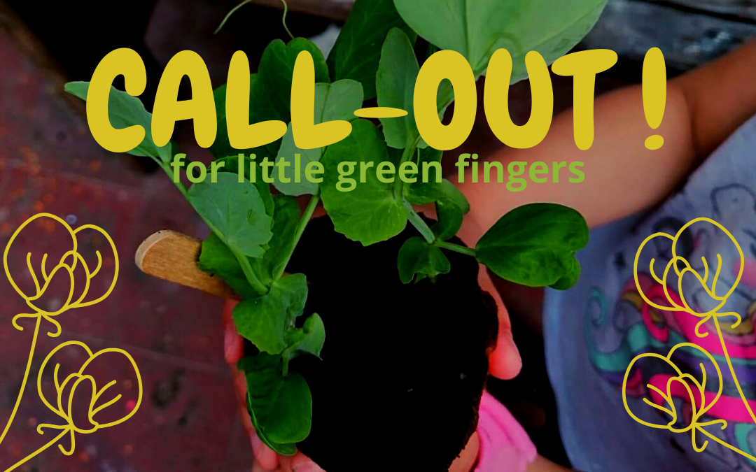 Calling all Little Green Fingers!